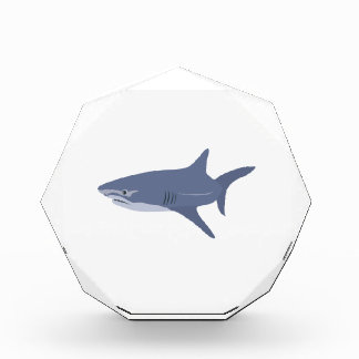 Shark Acrylic Award