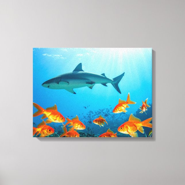 Shark among gold fishes canvas print (Front)