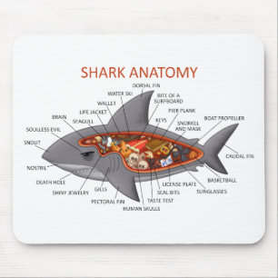 Shark Anatomy Mouse Pad