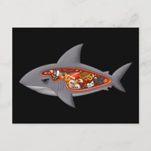 Shark Anatomy Postcard