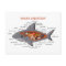 Shark Anatomy