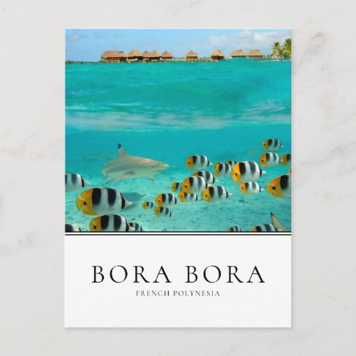 Shark and fishes in Bora Bora French Polynesia Postcard