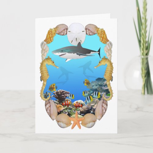 Shark and Reef Card