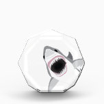 Shark Attack Acrylic Award<br><div class="desc">Funny image of a great white shark leaping from the ocean showing all its teeth.</div>