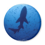 Shark Attack Magnet