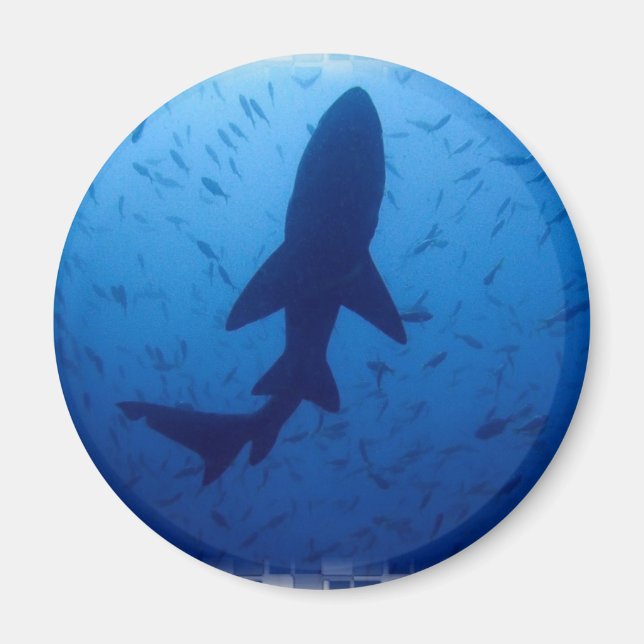 Shark Attack Magnet (Front)