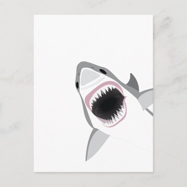 Shark Attack Postcard (Front)