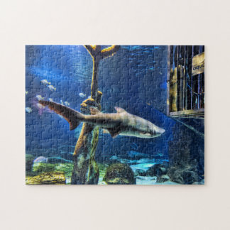 Shark Bait Jigsaw Puzzle