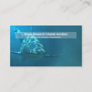 Shark biology marine research business card