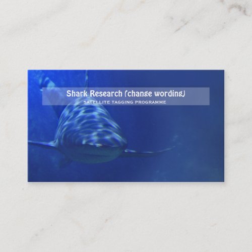 Shark biology marine research business card templates