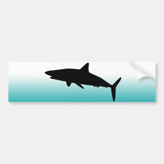 shark bumper sticker (Front)