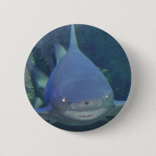 Shark Button