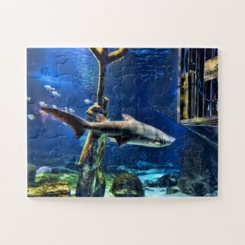 Shark Cage Jigsaw Puzzle by hawkysmom at Zazzle