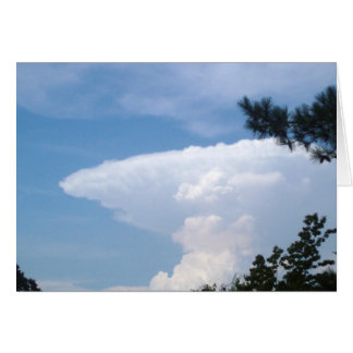 Shark Cloud Cards