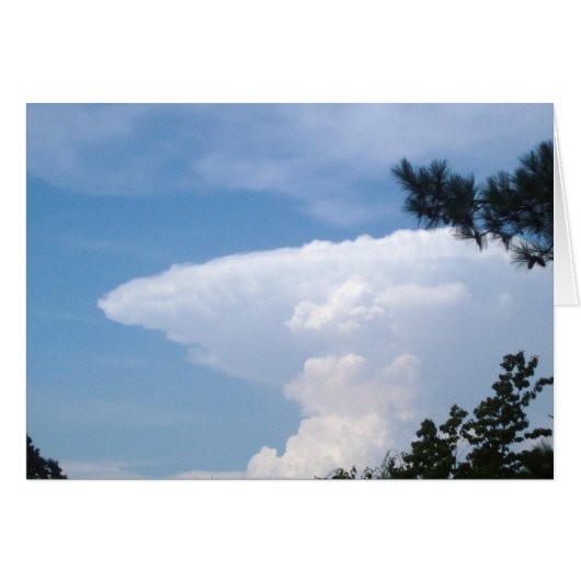 Shark Cloud Cards (Front Horizontal)