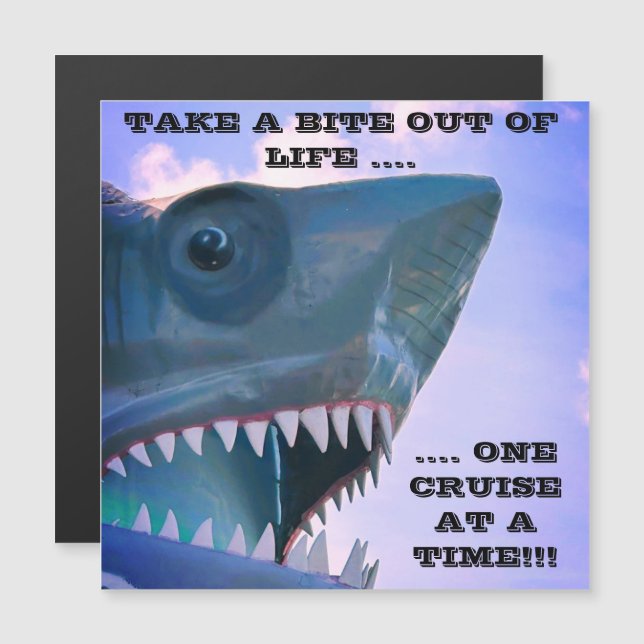 SHARK CRUISE DOOR MAGNET (Front/Back)