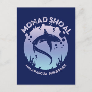Shark Diving At Monad Shoal Postcard