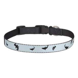 shark dog collars
