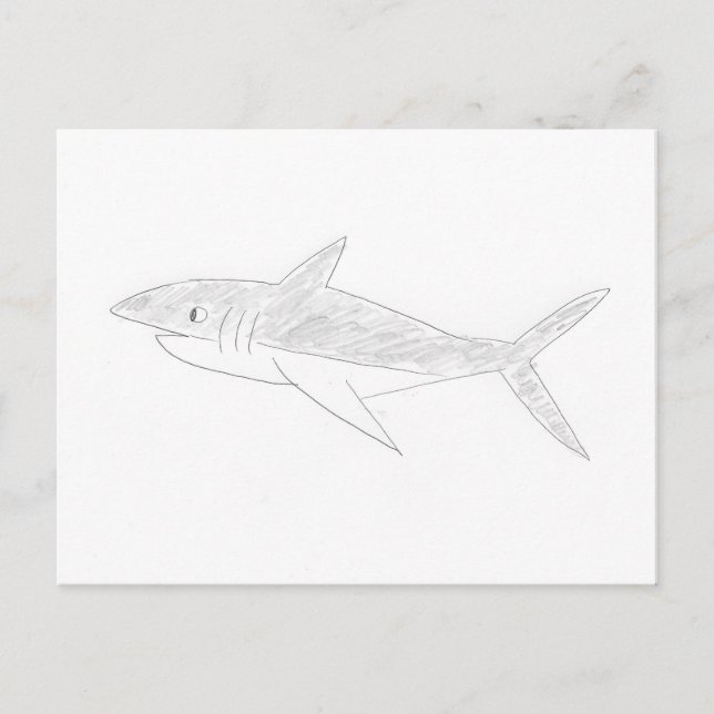 Shark Drawing Postcard (Front)