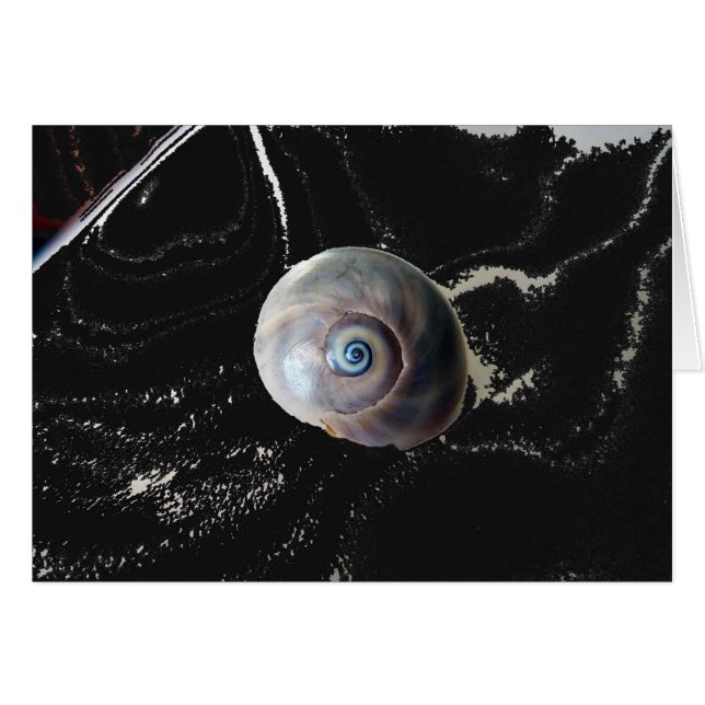 Shark Eye 2 Cards (Front Horizontal)