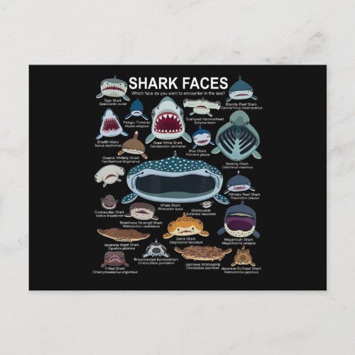 Shark Faces Which Face Do You Want To Encounter Announcement Postcard