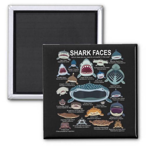 Shark Faces Which Face Do You Want To Encounter Magnet