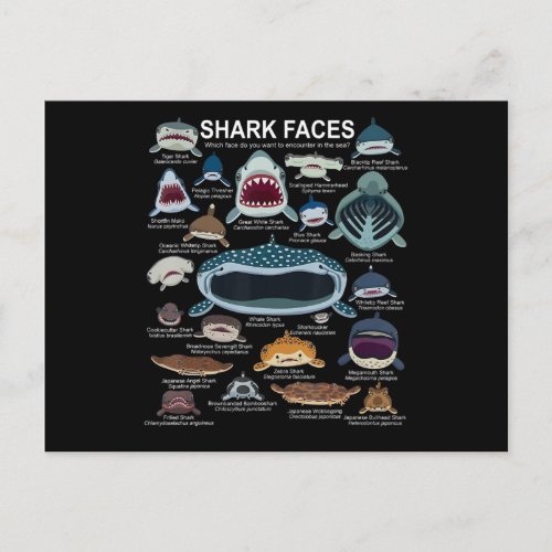 Shark Faces Which Face Do You Want To Encounter Postcard