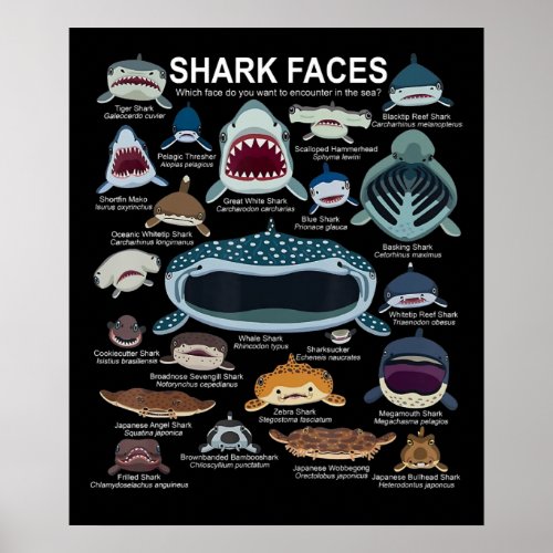 Shark Faces Which Face Do You Want To Encounter Poster