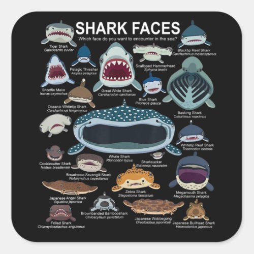 Shark Faces Which Face Do You Want To Encounter Square Sticker