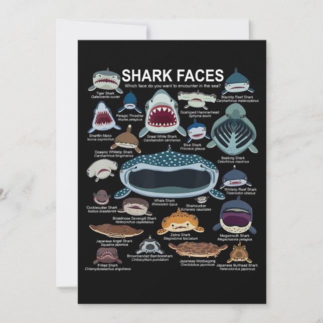 Shark Faces Which Face Do You Want To Encounter Thank You Card (Front)
