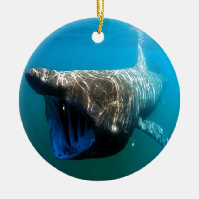 Shark Fish Ocean Tropical Ocean Destiny Gifts Ceramic Ornament (Front)