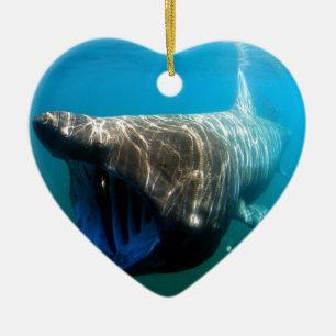 Shark Fish Ocean Tropical Ocean Destiny Gifts Ceramic Ornament