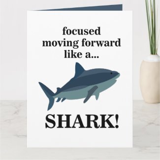 Shark Focused Moving Forward Like A Shark