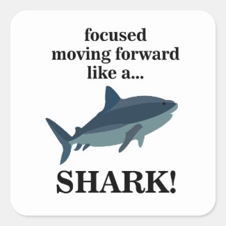 Shark Focused Moving Forward Like A Shark