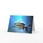 Shark Greeting Card