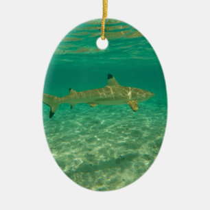 Shark in bora bora ceramic ornament