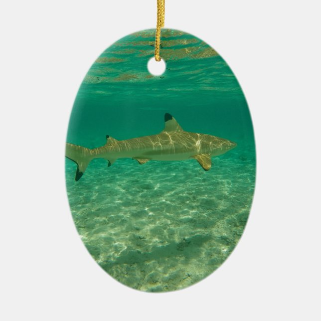 Shark in bora bora ceramic ornament (Front)
