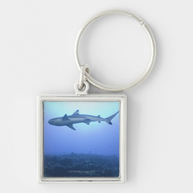 Shark in ocean, low angle view keychain (Front)