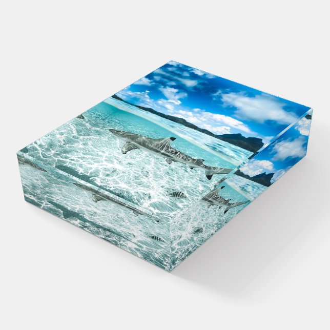 Shark in the Waters Paperweight (Angled)