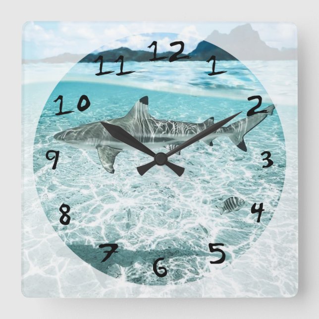 Shark in the Waters Square Wall Clock (Front)