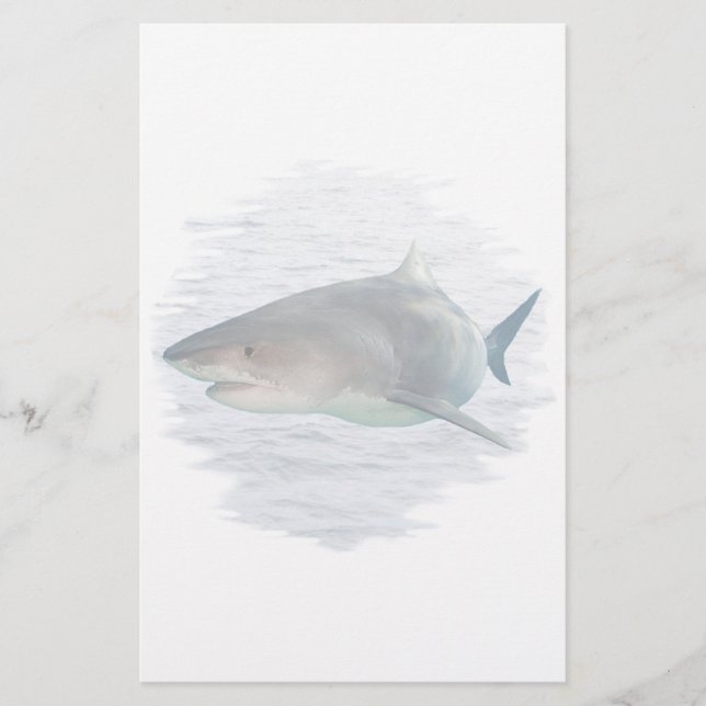 Shark in water stationery (Front)