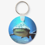 Shark Keychain