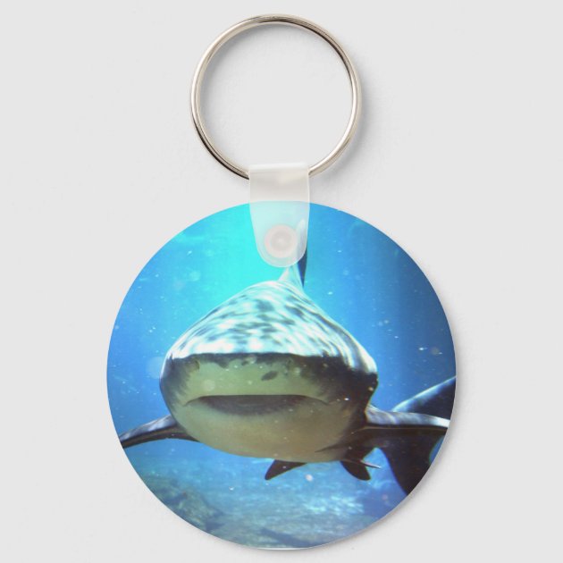 Daddy hot sale shark keyring