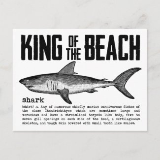 Shark King of the Beach Postcard