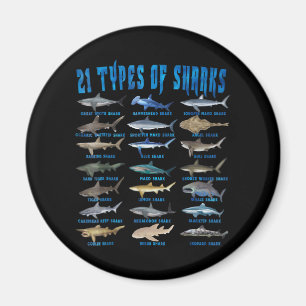 Shark Lovers 21 Types Of Sharks Ocean Animal Magnet