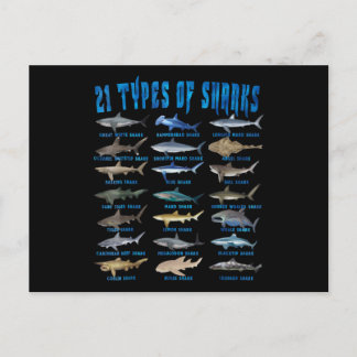 Shark Lovers 21 Types Of Sharks Ocean Animal Postcard
