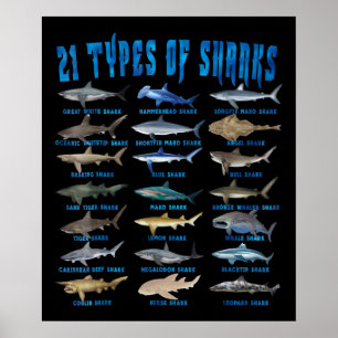 Shark Lovers 21 Types Of Sharks Ocean Animal Poster