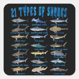Shark Lovers 21 Types Of Sharks Ocean Animal Square Sticker