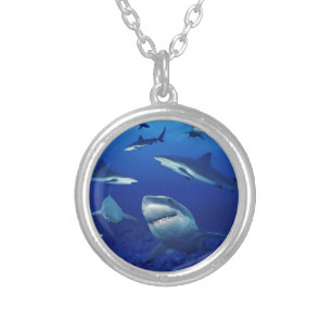 Shark Necklace