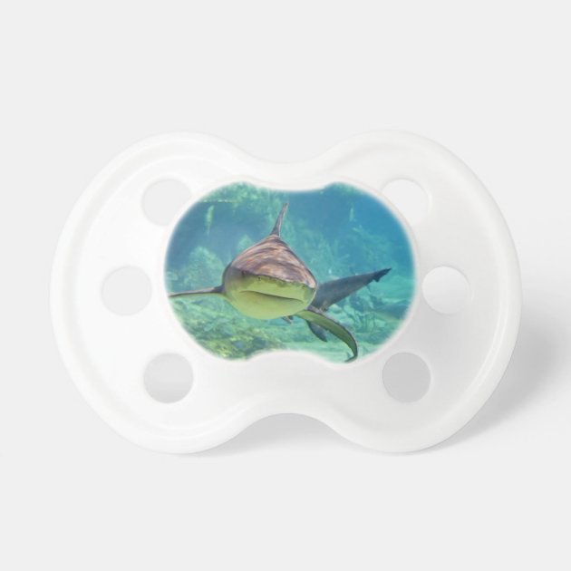 shark pacifier